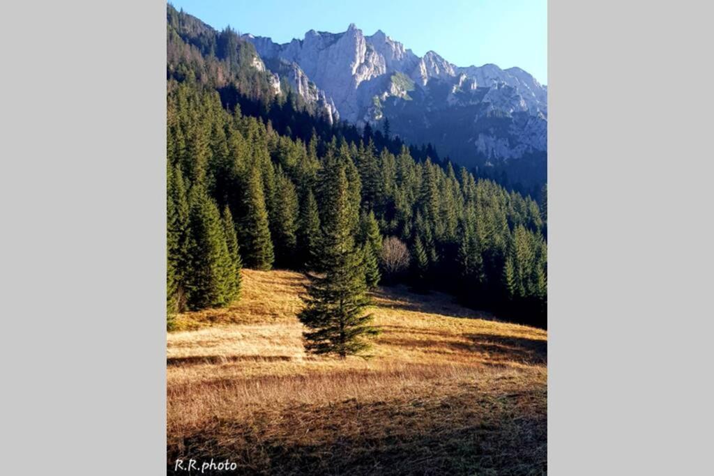 Domek Goralski Parzenica Косьцелісько Екстер'єр фото